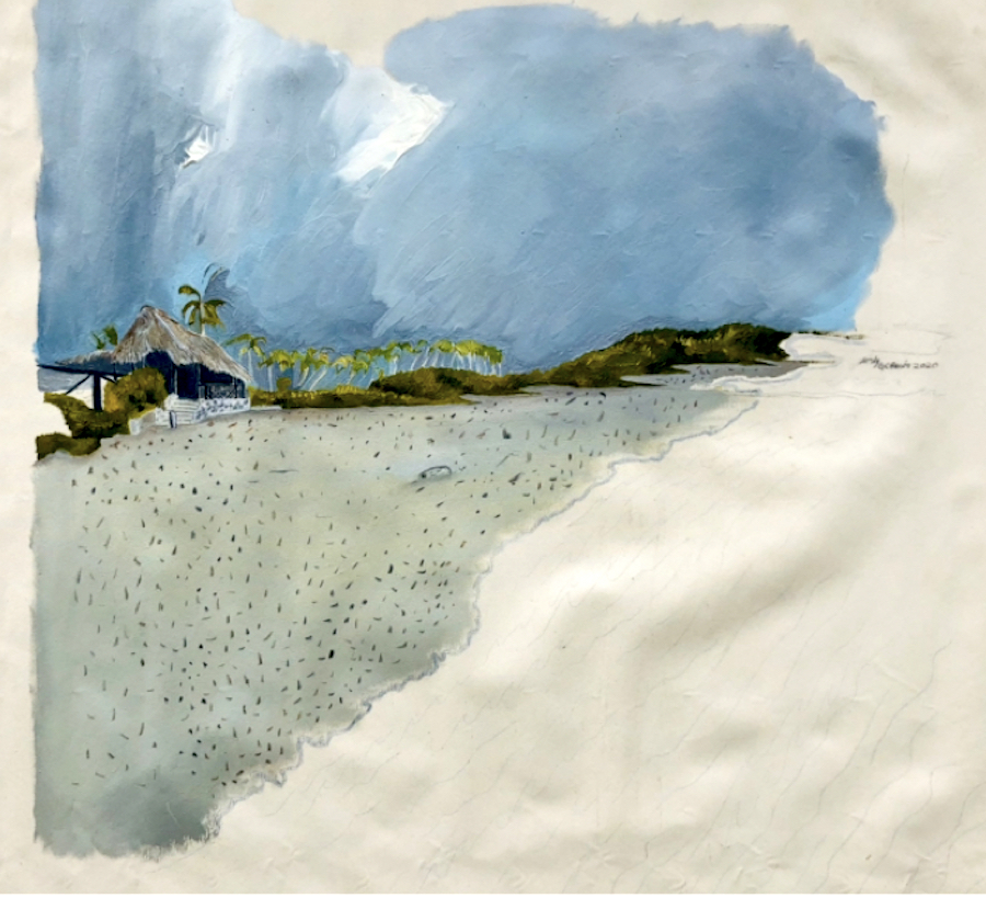 la seria paisajes de la isla: Cabaña en playa el tirano
